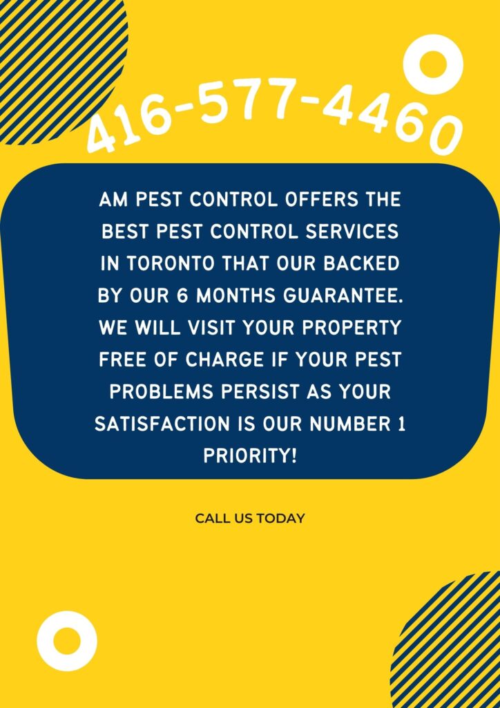 am pest control toronto contact info