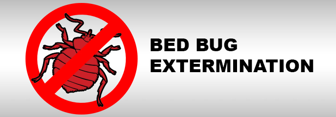 bed bug removal ervice in toronto