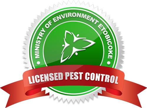 pest control etobicoke